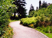 Pocket park
