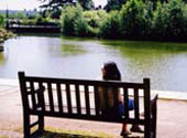 The pond