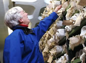 Selecting records