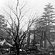 Outrage at Kew