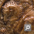 Thumbnail linking to popup window