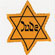The Holocaust