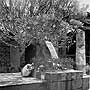 A widow mourning in Kalighat, photographed by Cecil Beaton (INF 14/433/7)