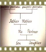 Getting better organised: building a family tree