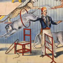 Anderton and Haslam's Menagerie, 1894. Catalogue reference: COPY 1/114 folio 20