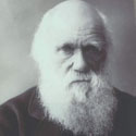 Charles Darwin, 1882. Catalogue reference: COPY 1/56
