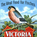 Victorian advertisement for Spillers & Bakers Ltd's Victoria Finch Mixture, 1901. Catalogue reference: COPY 1/177 folio 141