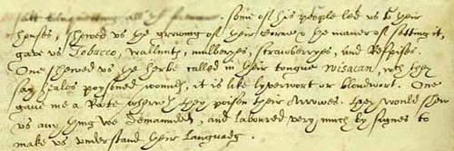 Extract from a journal of one of the settlers (CO1/1)