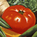 Thumbnail linking to popup window