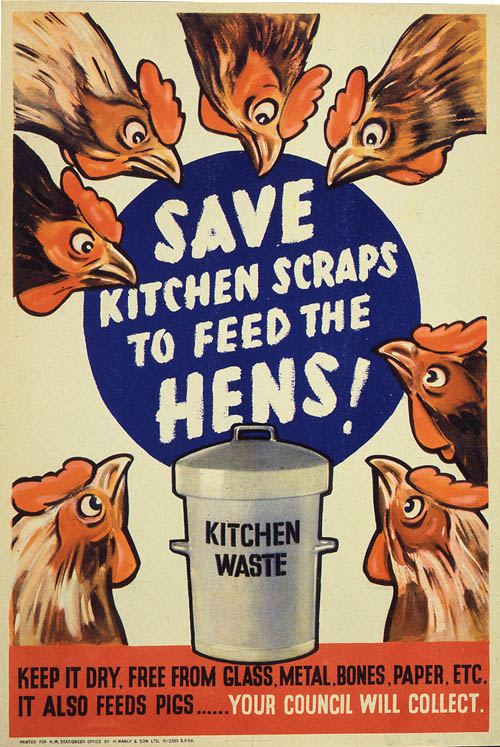 Save kitchen scraps to feed the hens (Cat ref INF13/143 f13)