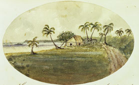 Illustration of Pelem Islands, 1863 (Catalogue reference: ADM 101/176)