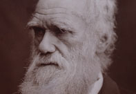 Charles Darwin (COPY1/57/255)