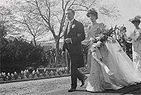 Wedding party - Catalogue reference: COPY 1/497 