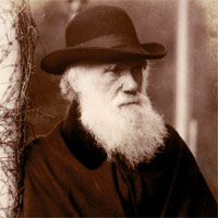 Charles Darwin, 1882. Catalogue reference: COPY 1/56 folio 768 