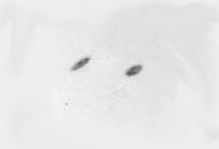 Leytonstone ufos