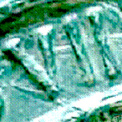 Roman numerals