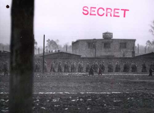 Cat ref: FO 371/100718 . A photograph of prisoners being marched from work at a forced-labour camp at Jaworzno in Southern Poland, not far from Auschwitz. 