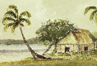 Transportation to Australia and Family History