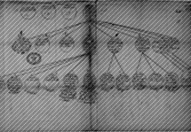Creating a legacy from your Caribbean family history