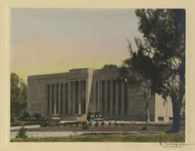 Institute of Anatomy, Canberra, 1927 Catalogue reference: CO 1069/592