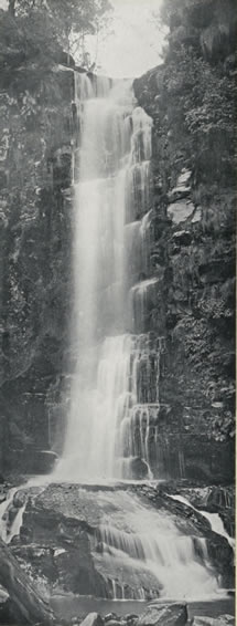 Erskine Falls, Lorne, Victoria, Australia, 1912 Catalogue reference: CO 1069/623