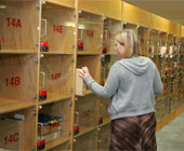 Lockers