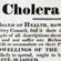 Kill or Cure: Cholera 1831