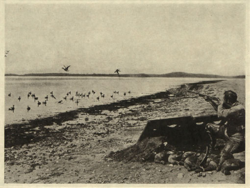 Duck shooting on the prairies. Catalogue reference: CO 1069/286