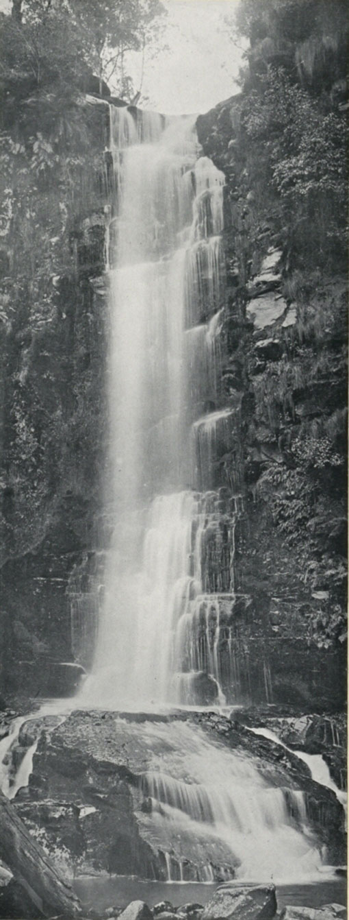 Erskine Falls, Lorne, Victoria, Australia 1912. Catalogue reference: CO 1069/623