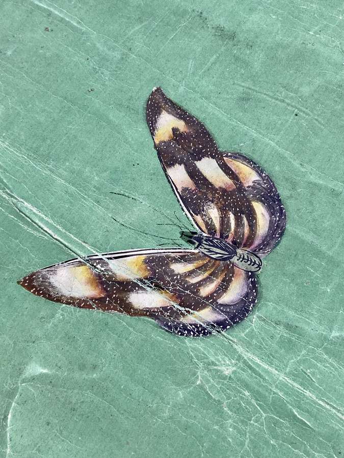 A beautifully painted butterfly on green Chinese wallpaper