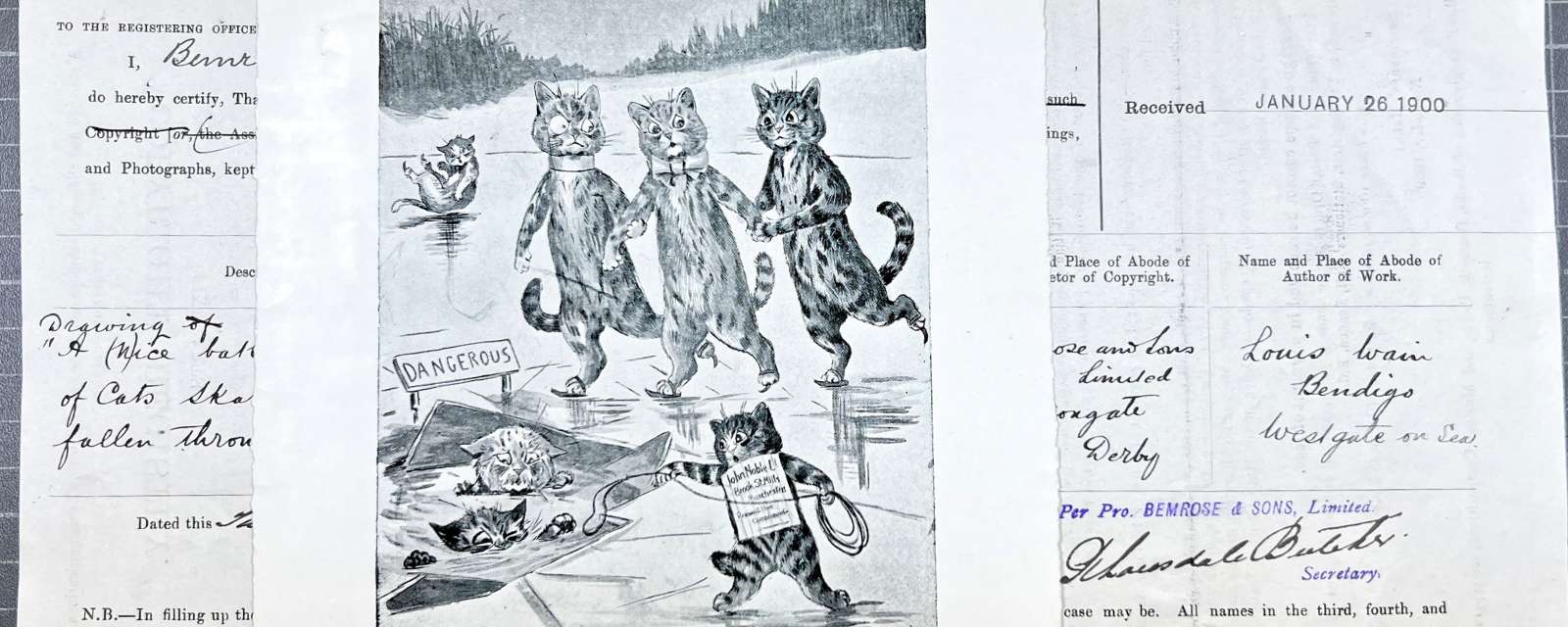 A handwritten entry form can be seen in the background. A illustration of human-like cats ice staking is in the foreground.