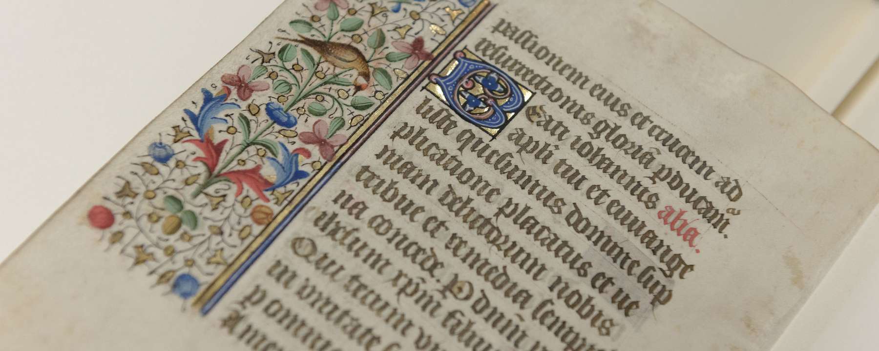 Close-up of a single page document. The page contains ornate latin script, an illuminated border and an illuminated capital letter, typical of the medieval era.