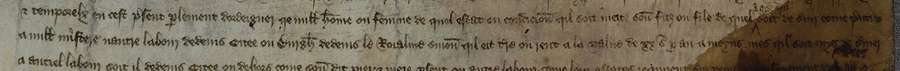 Extract from a medieval manuscript.