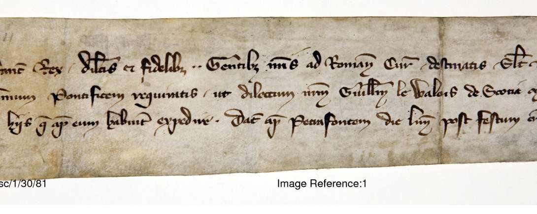 An image of a narrow document with Latin writing
