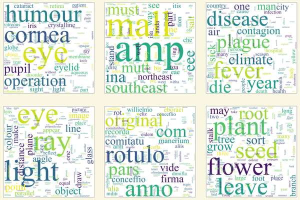 Six word clouds in two rows of three. Each cloud contains very many words of varying sizes. Prominent words include humour, light, amp, flower, disease, plant, plague, eye, climate.