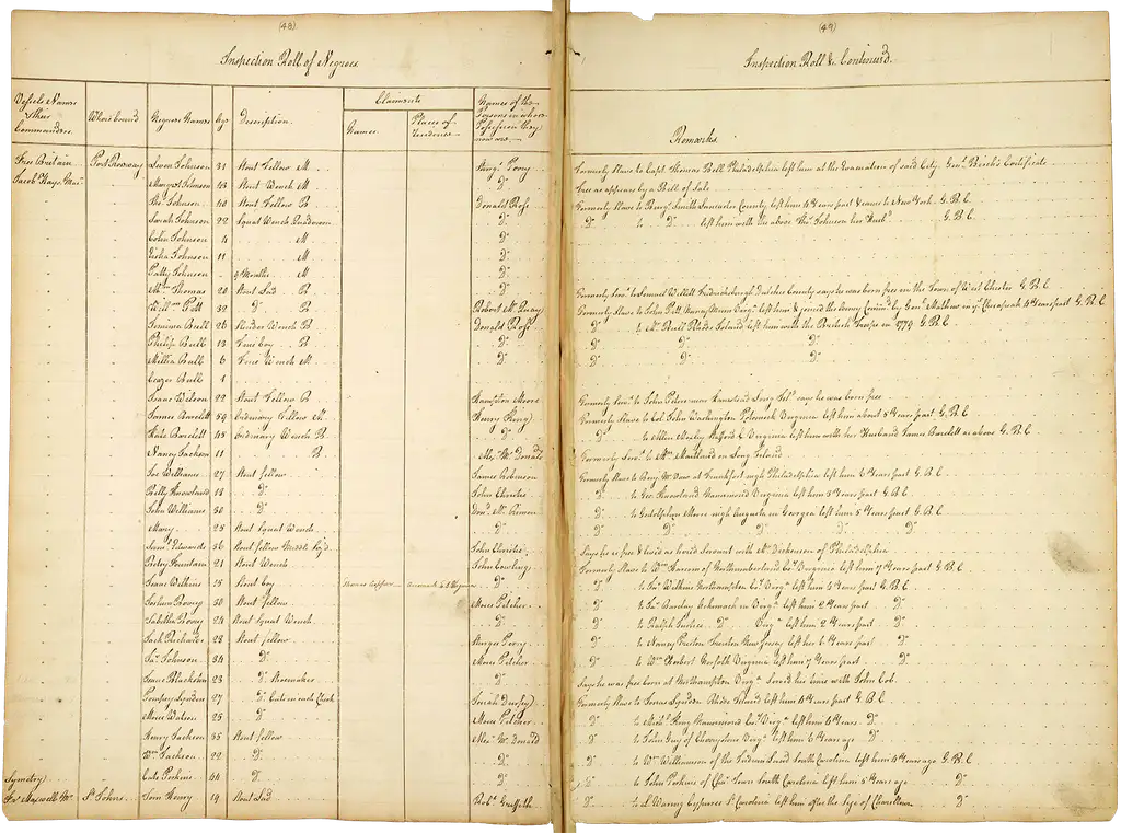 Table split headed 'Inspection Roll of Negroes', with columns including name, age and 'Remarks'.