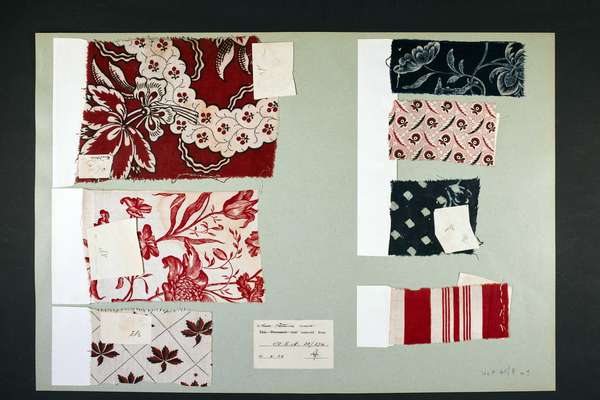 Seven different textile samples, featuring red and blue and floral and geometric patterns, attached to a cardboard sheet.
