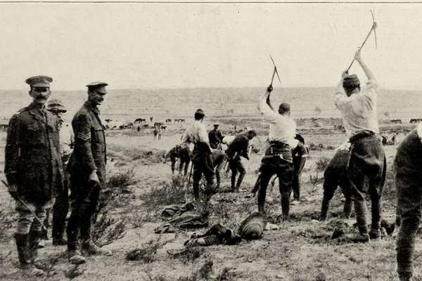 Photograph of First World War soldiers digging trenches in an arid landscape.