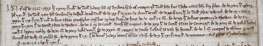 Extract from a medieval document