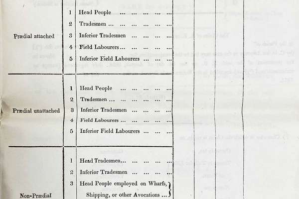 Printed form listing 'Classes' such as 'Field labourers' and space to add 'Value in Sterling'.