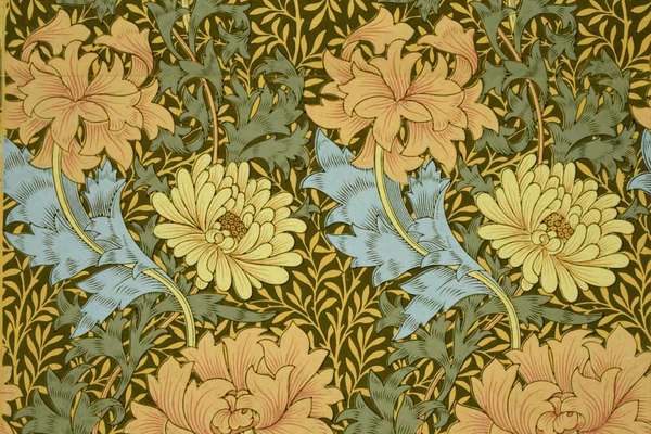 Orange and yellow chrysanthemum flowers facing upwards in alternate rows.
