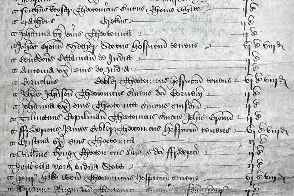 A list of names written in Latin on an old piece of parchment.