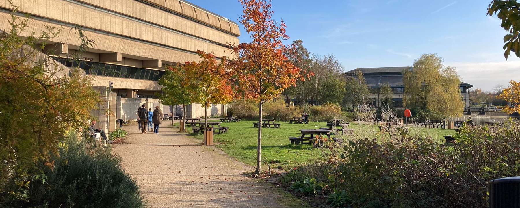 A footpath winds through some bushes to a large grassy space covered with wooden benches and to The National Archives' brutalist building.