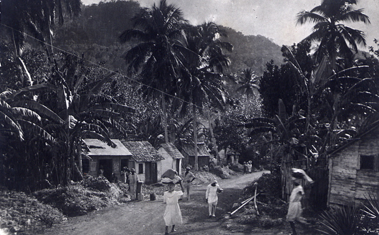 Dirt road with houses on either side surrounded by a forest of palm trees. People walk down the street, some carrying produce on their heads.