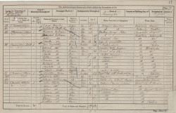 Image of Notting Hill census return