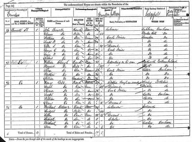 Census Return for Trimdon Grange 1881 (RG 11/4904)