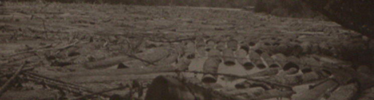 CO 1069/254 