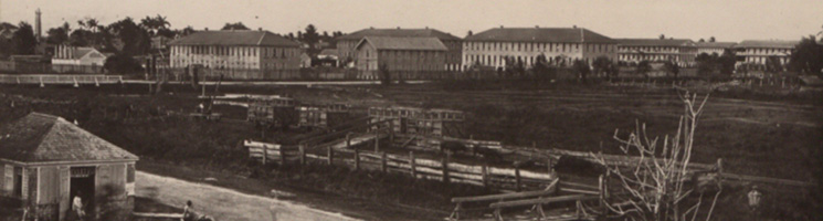 CO 1069/355
