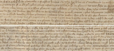 Image of Appointment of the ‘continual council’, 1377