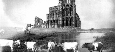 Image of Whitby Abbey